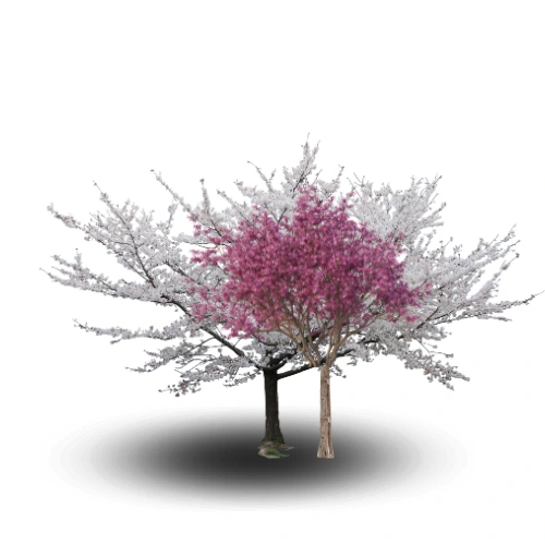 درخت مصنوعی شکوفه